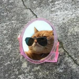 Meet your Posher, Stella-luna